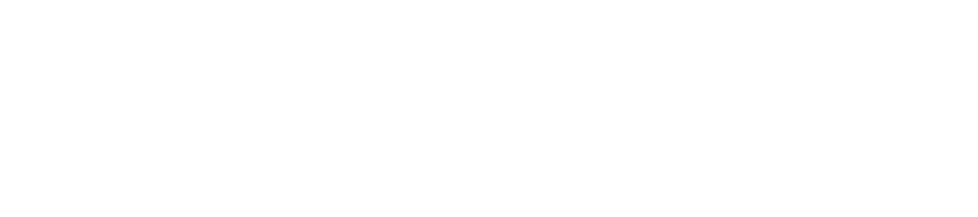 singlesync-logo-long-white