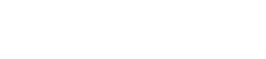 healthview-logo-long-white